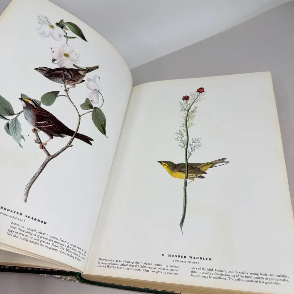 The Birds of America by John James Audubon Macmillan Publishing Hardcover